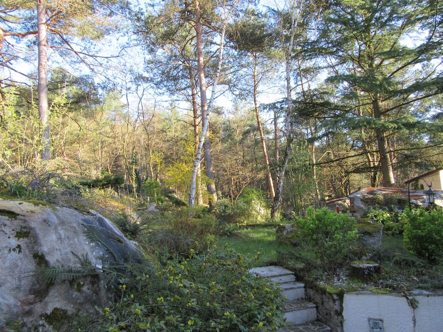 Our Back Garden