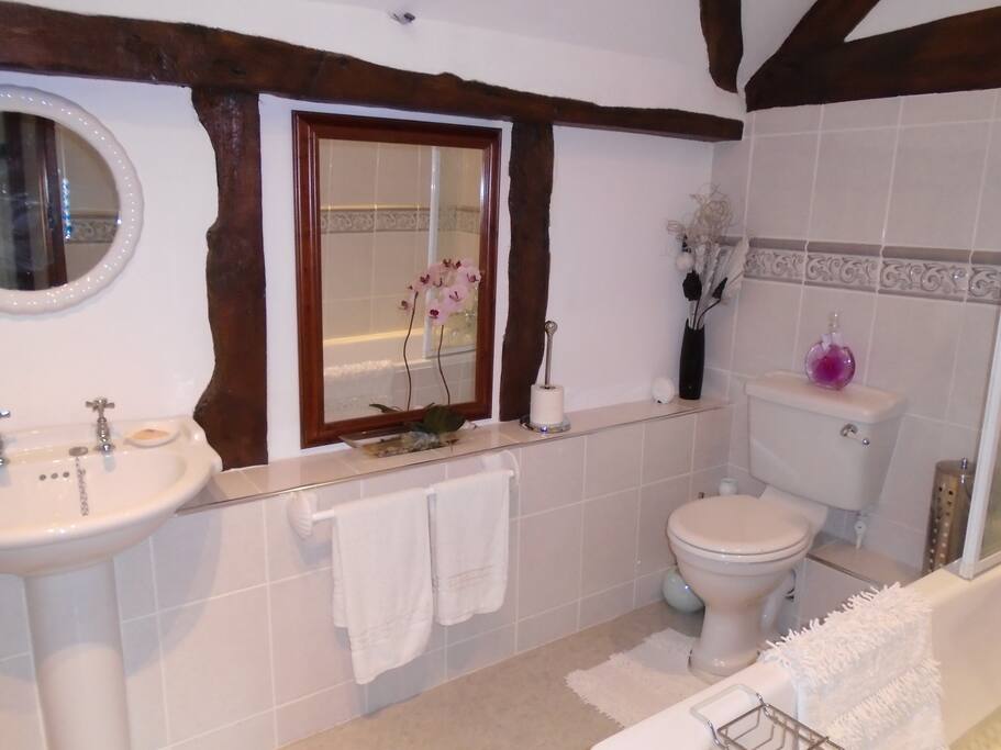 bathroom with bath and shower adjacent to bedroom