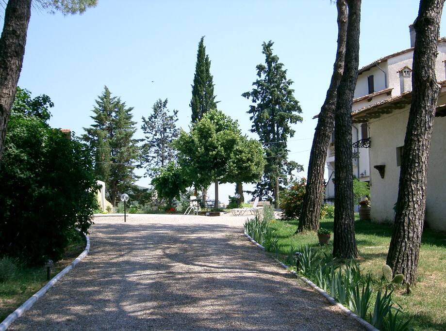 the garden