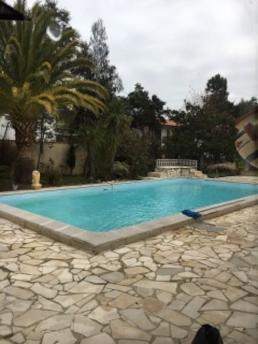 la piscine pour se rafraîchir