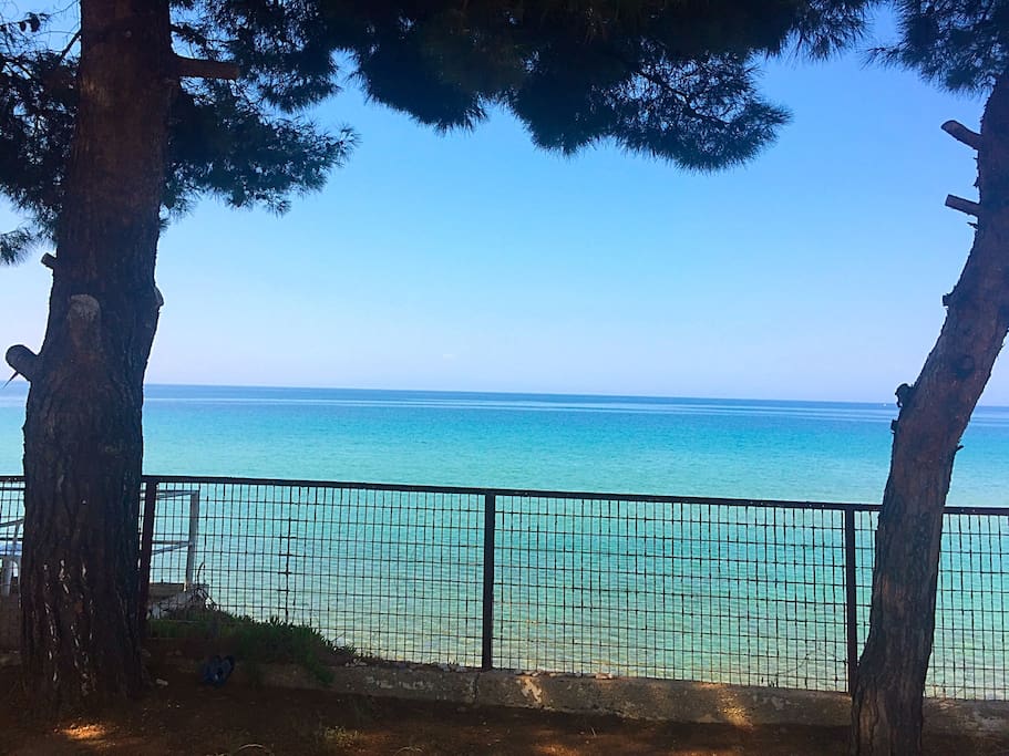 Unique view