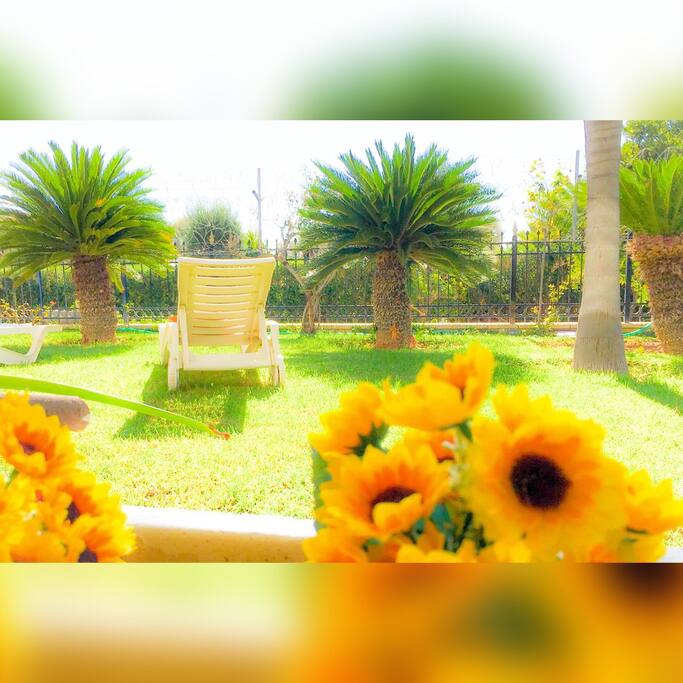 Our gardens in the morning,in your disposal..