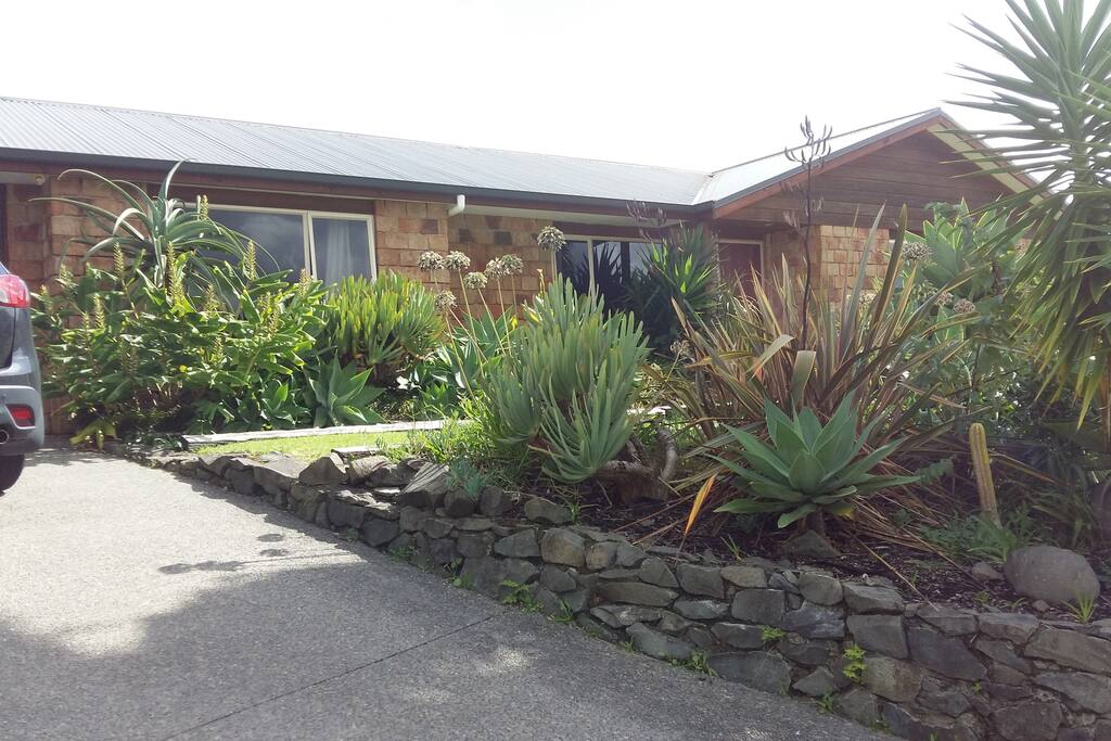 Front of house boasting a huge tropical garden