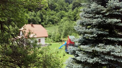 Visoko, Cottage Forest Stream