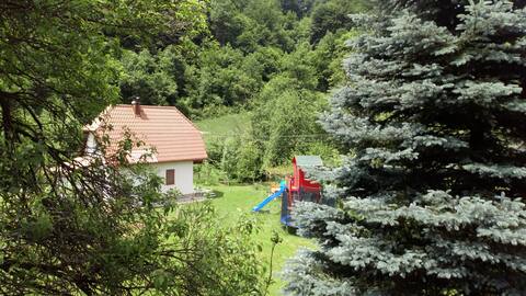 Visoko, Cottage Forest Stream