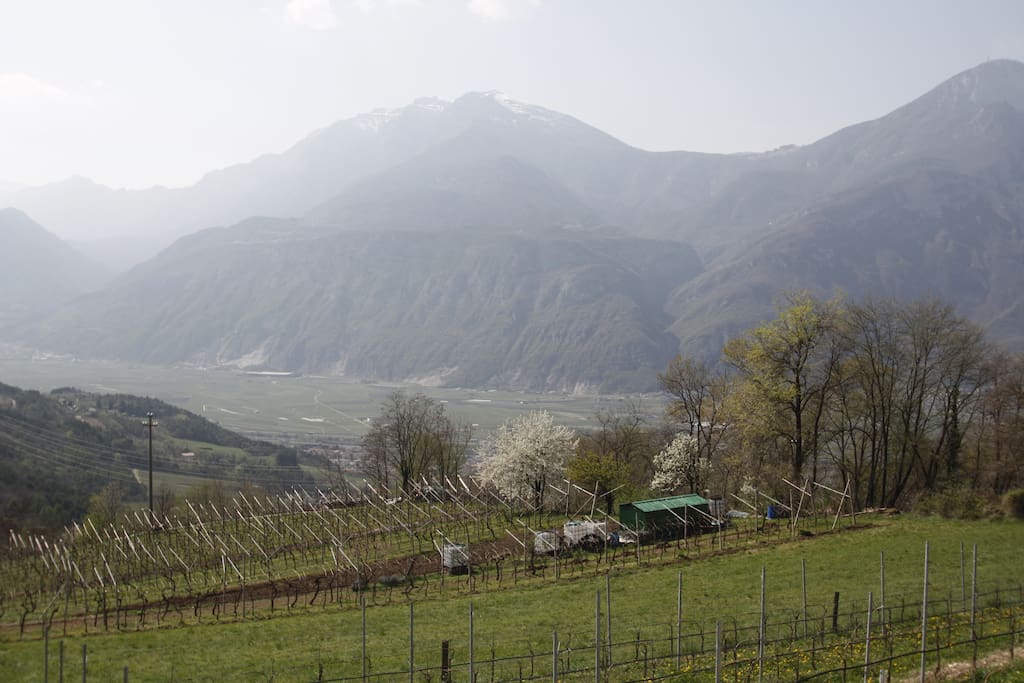 la vista dalla terrazza