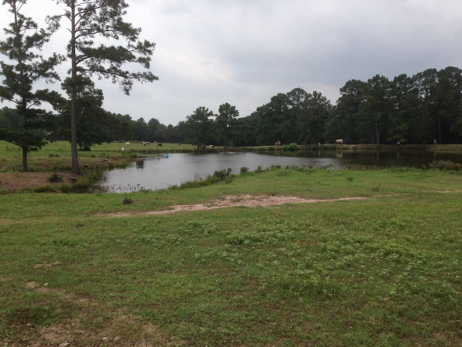 Easy pasture trails