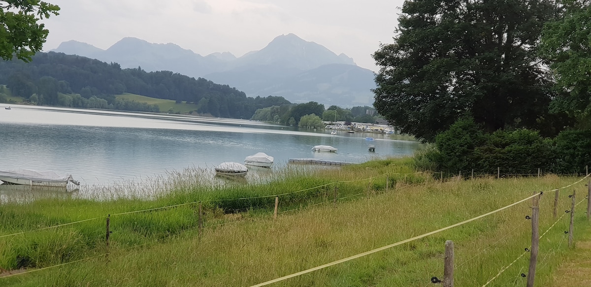 A serene lake is bordered by lush green grass and trees, with gentle hills visible in the background. Small boats are anchored on the water, reflecting the surrounding landscape. The calm atmosphere is enhanced by the soft, cloudy sky.