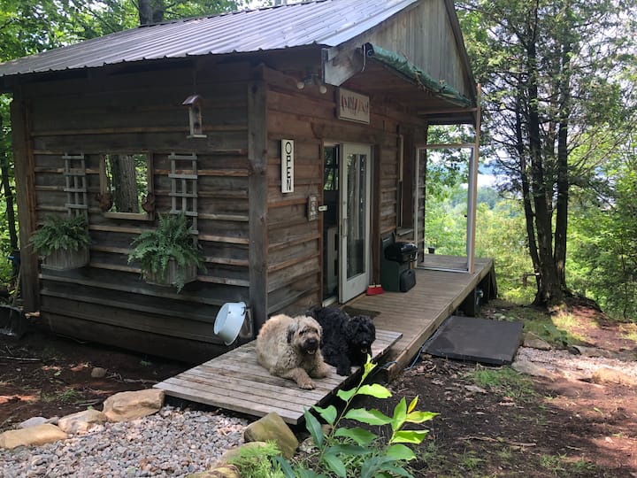 Lake View Cabin in Huntsville Tiny houses for Rent in Huntsville