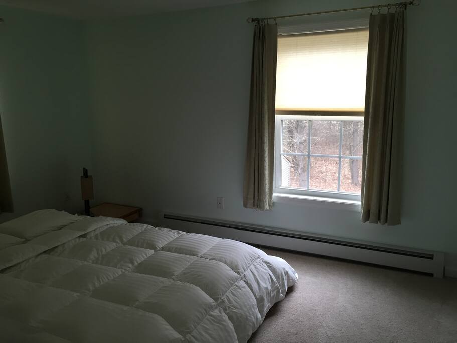 Master Bedroom-Queen