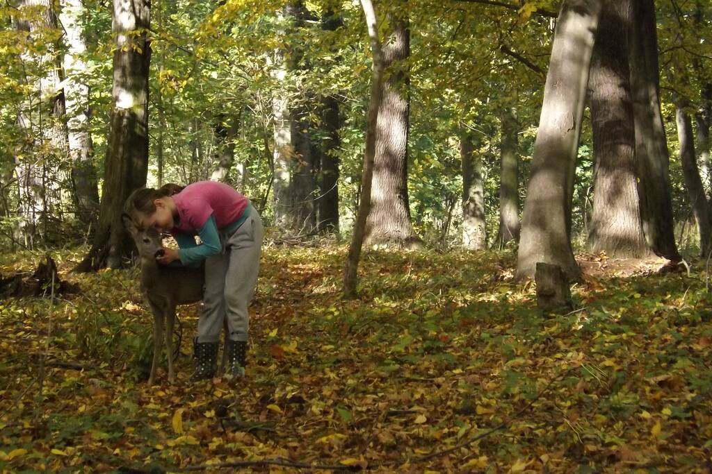 You can relax with nature in our park. Make a fire have a grill be free.