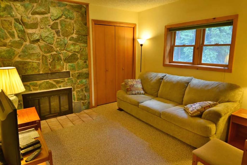 Den with very comfy sleeper sofa, fireplace, & cable tv