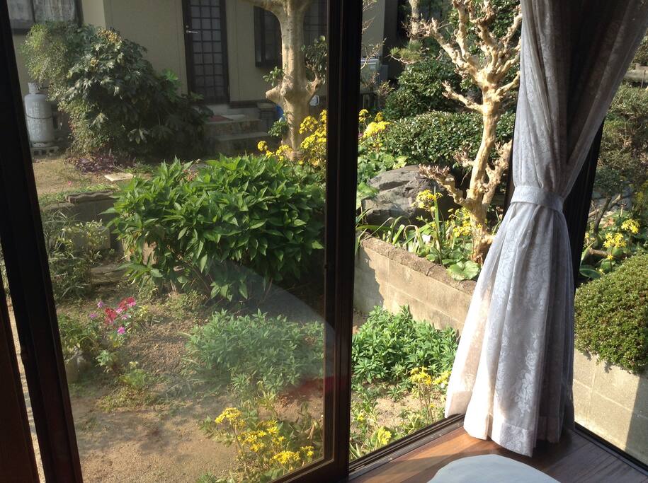 view from room