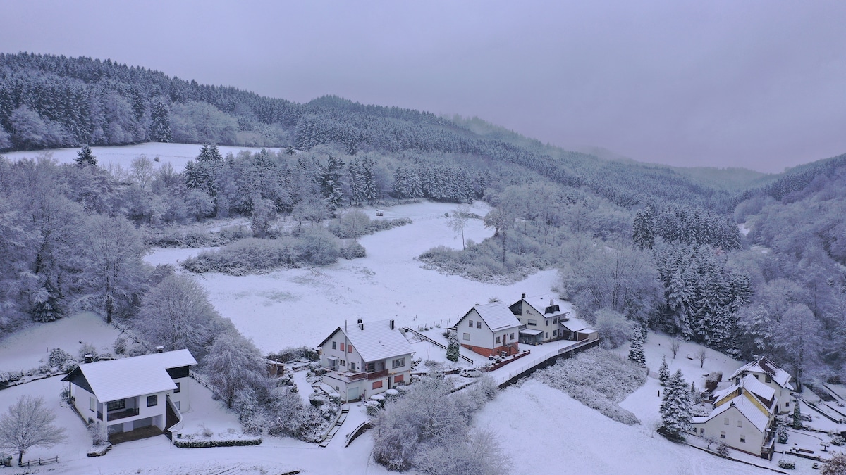 A serene winter landscape unfolds, showcasing snow-covered houses nestled among trees blanketed in white. The surrounding hills and distant forest create a peaceful backdrop, enhancing the natural beauty of the tranquil scene.