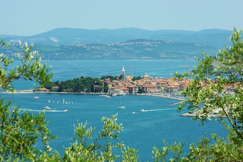 Rooms Aurora - Violet Room