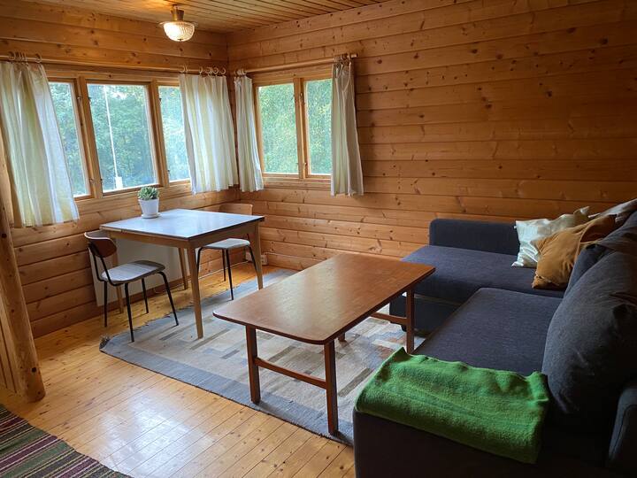 Sala de estar/dormitorio con sofá cama y comedor. 