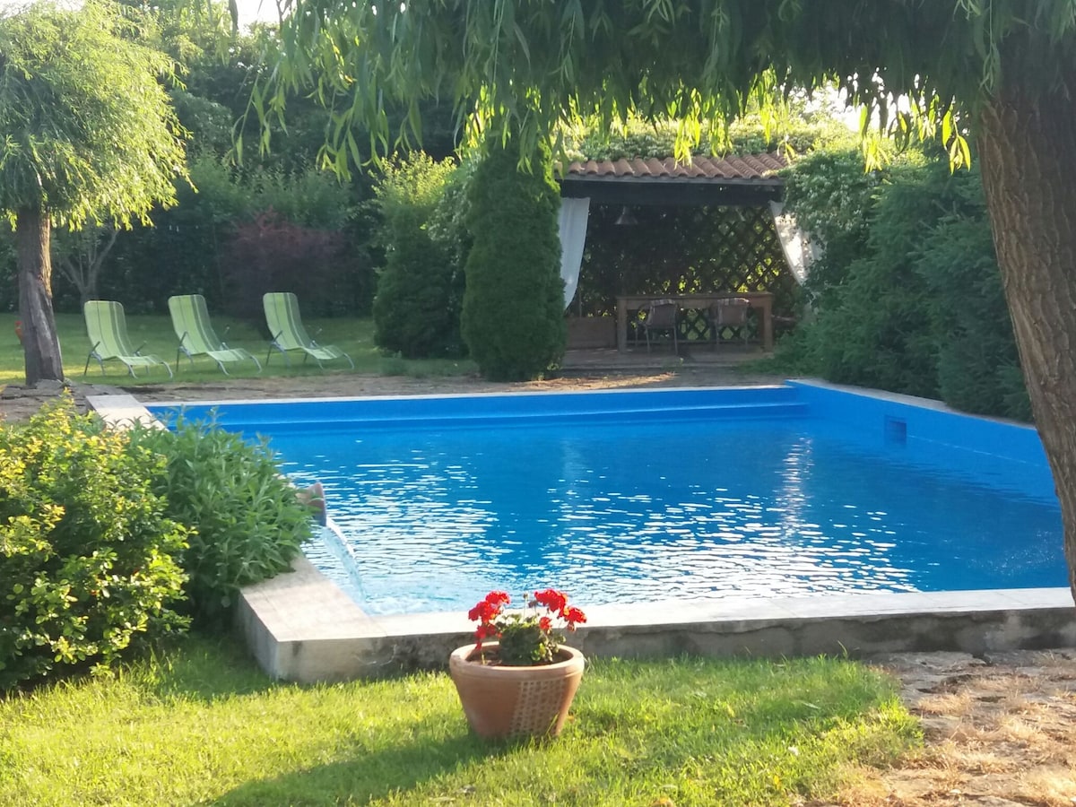 A tranquil pool area is surrounded by lush greenery, featuring a vibrant blue pool. Two light green lounge chairs are positioned nearby, while a shaded seating area with a table is visible in the background. A flower pot with red blooms adds a touch of color.
