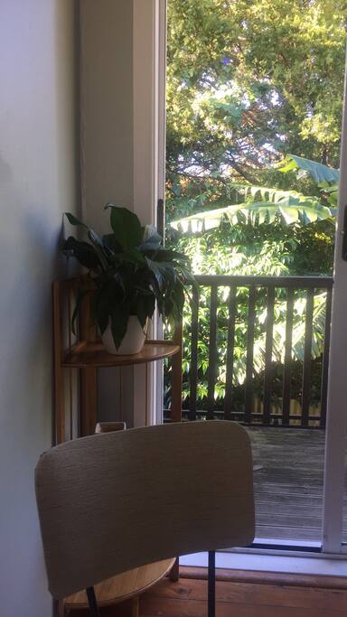 Listen to the Tuis and relax