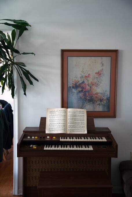 Organ