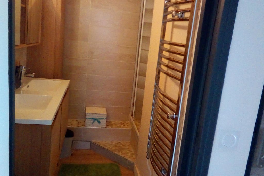 Salle de bain avec douche et lavabo double
