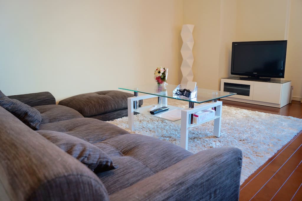 This sofa is the size that one person can lie