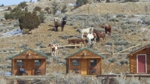HorseWorks Wyoming's Rustic Ranch Cabins #1
