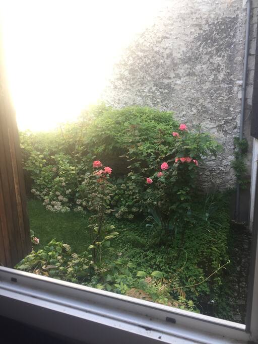 Vue de la fenêtre de la chambre