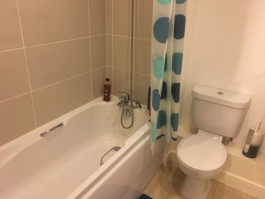 Large Private Guest Bathroom with Shower