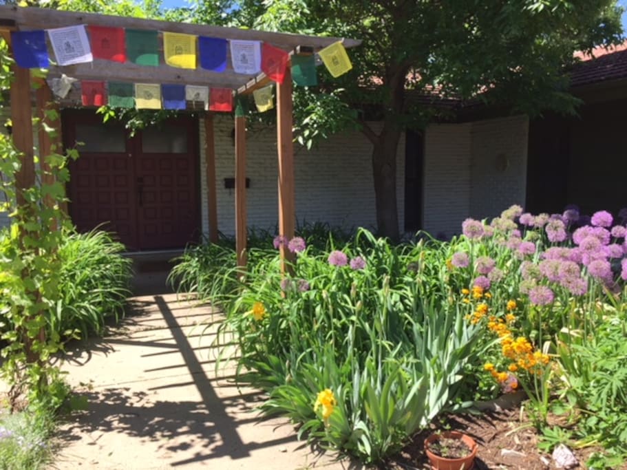 Zen Front Garden