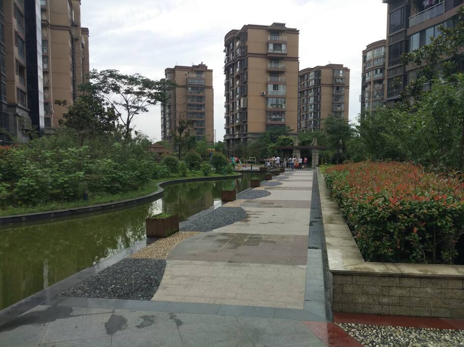 neighborhood environment
社区环境