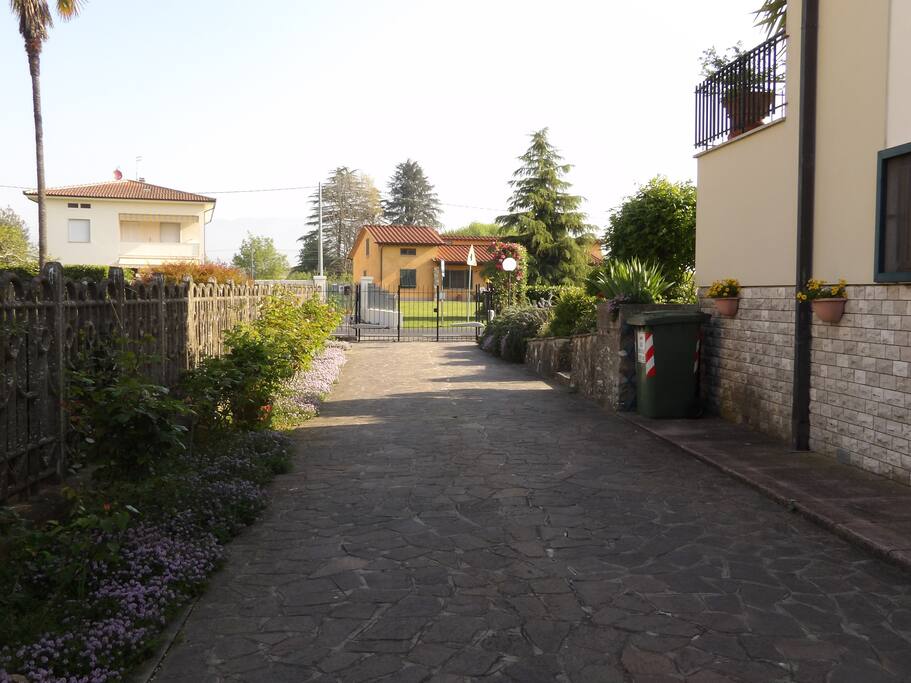 Viale ingresso auto