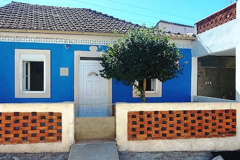 Family country house with large garden