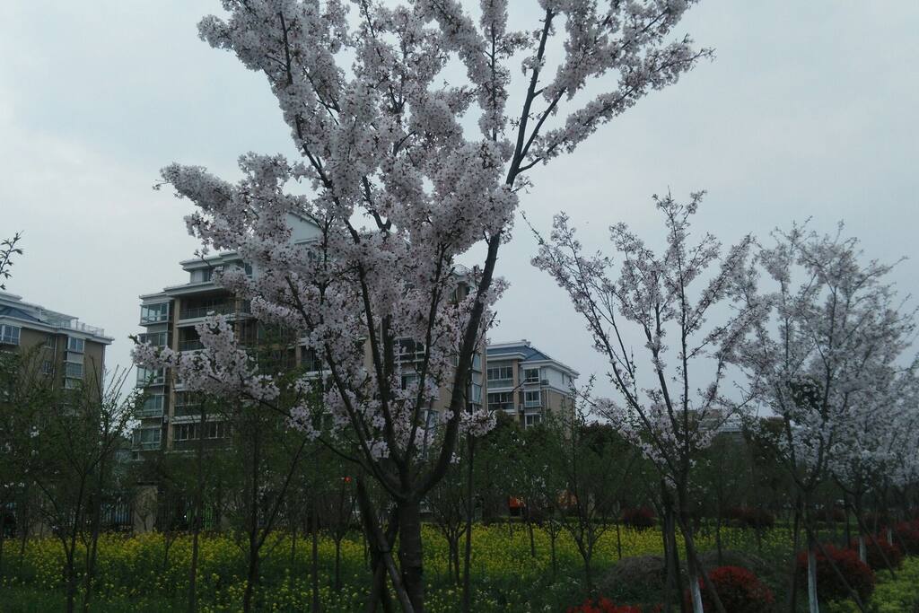 小区一角