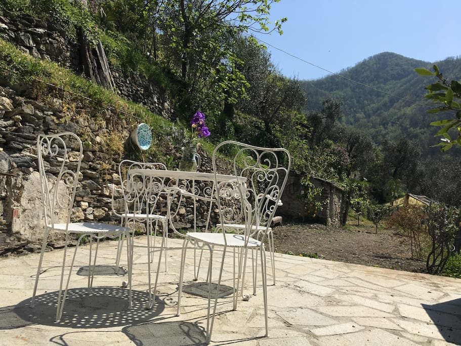 terrazza - giardino
terrace garden