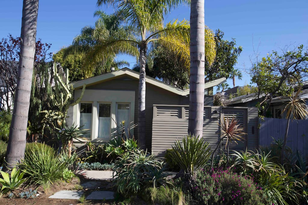 Street View, big palm trees...
