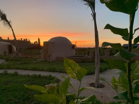 Dome relax le dattier