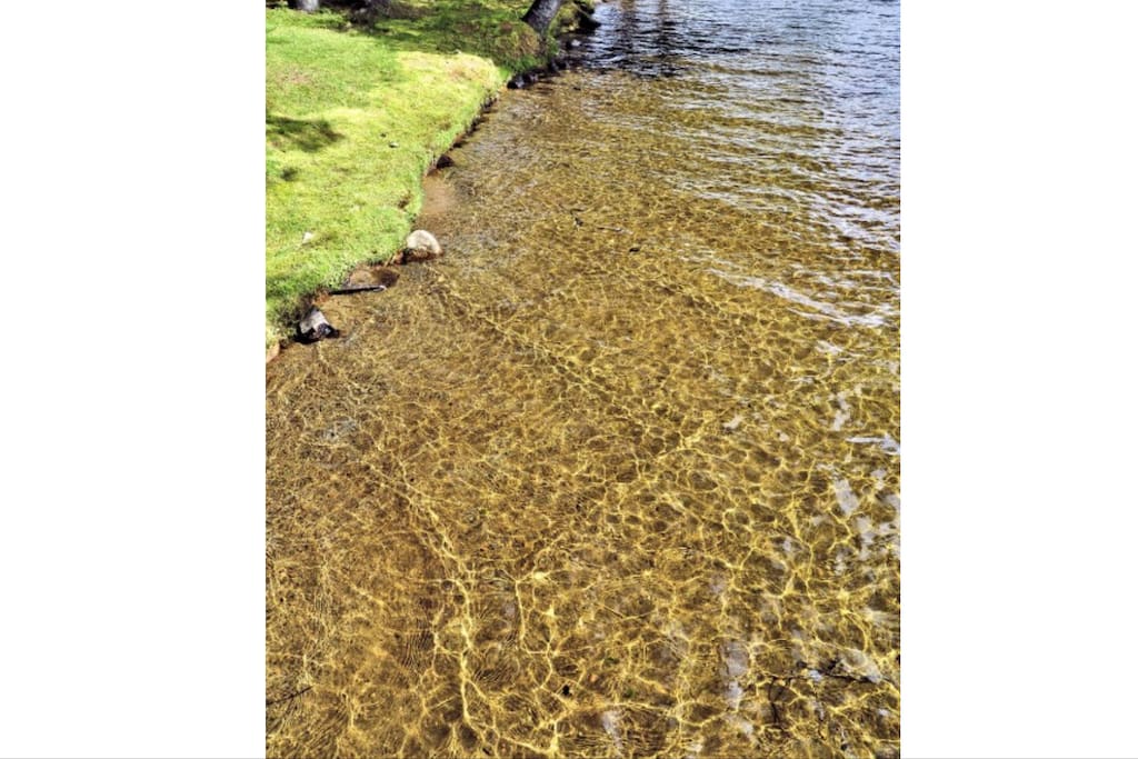 Sandy Shoreline