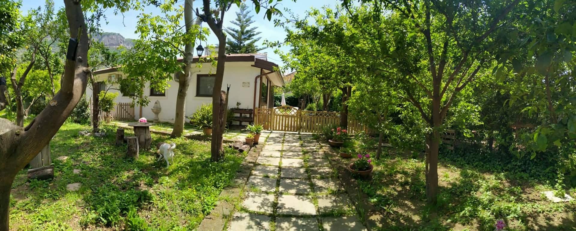 Villino L'Aranceto Sorrentino — zdjęcie 3