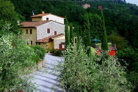 Heated pool – Art and Spas surrounded by nature