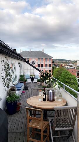 Quiet in the heart of Oslo gallery image 3