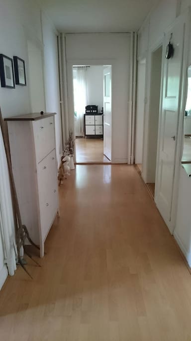 Welcome home!