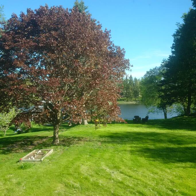Spacious Yard, fire pit by water's edge