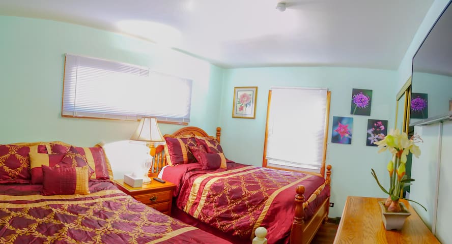 2 COZY HOUSE IN DOLTON, that invites You to rest
