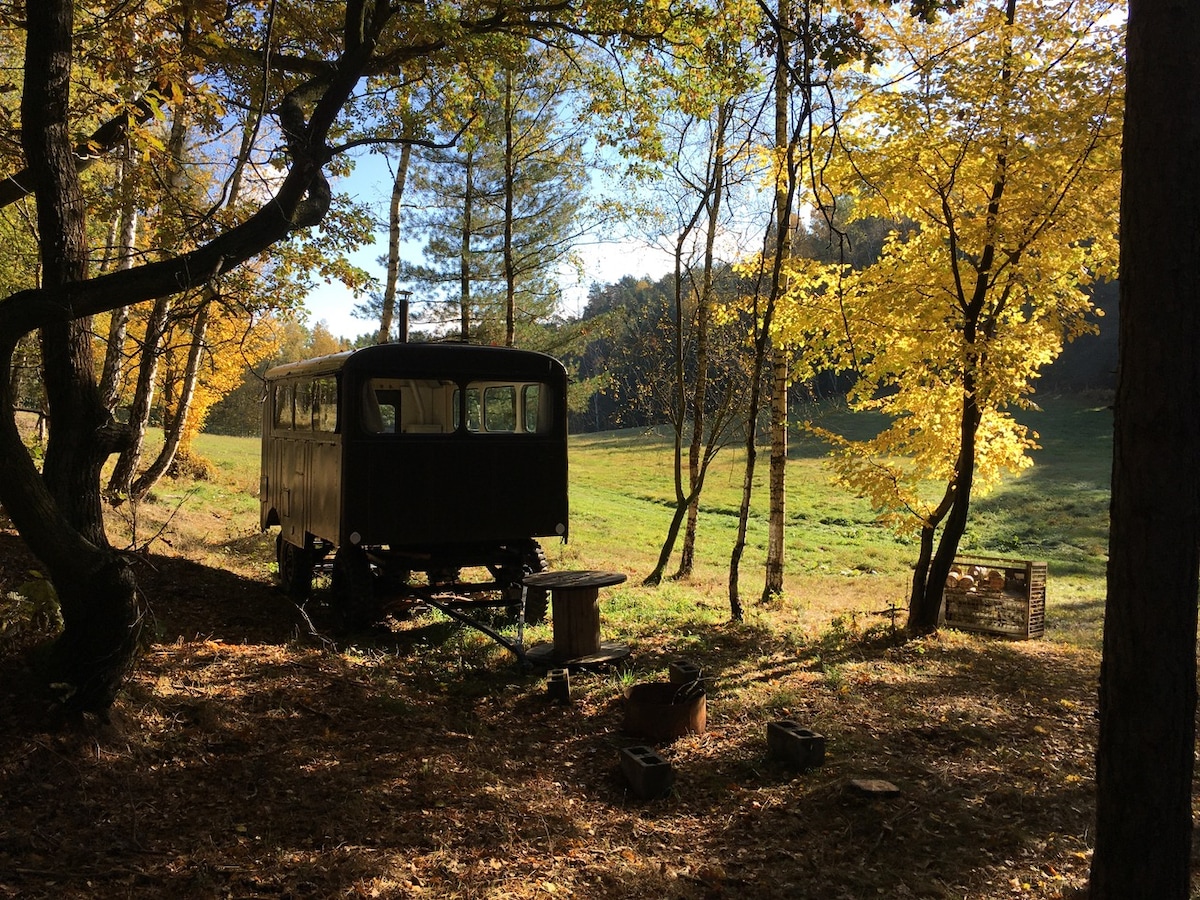 A vintage caravan is positioned among trees with yellow and green foliage, creating a serene setting. An outdoor seating area, marked by simple logs, is visible nearby. A lush green field extends behind the caravan, offering a peaceful view of the natural surroundings.