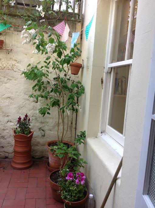 View from kitchen door
