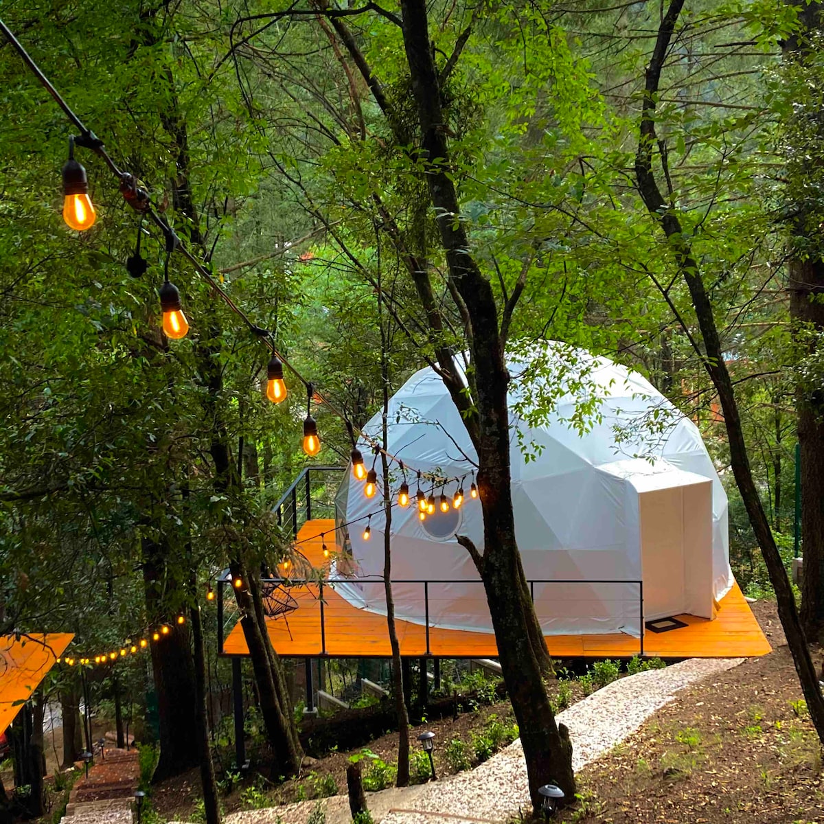 An elevated geodesic dome is situated on a wooden deck amid lush tree canopies, surrounded by warm, ambient lights. The structure features a white exterior, blending harmoniously with the natural surroundings, and access is provided by a winding path lined with gravel.