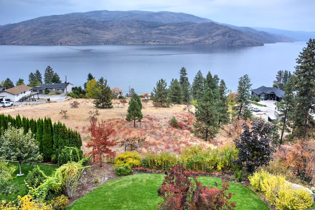 This home is surrounded by untouched land which welcomes all wildlife!