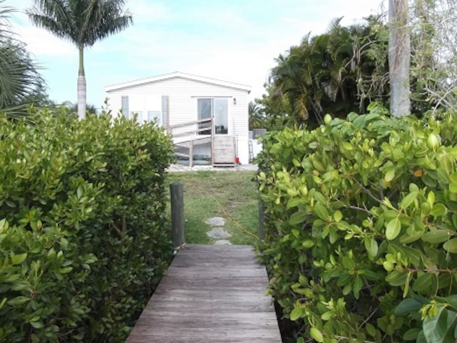 Rear of home from dock - there is a fish cleaning table with faucet and sink, and a propane BBQ for grilling. Wheelchair ramp present from prior owners, and no stairs in home - one bath fully wheelchair accessible. The mangrove hedge has since been trimmed down.