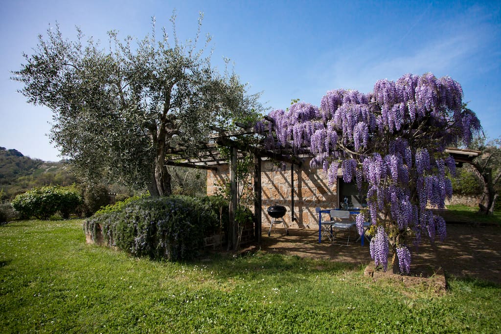 Pergola con zona pranzo e barbecue