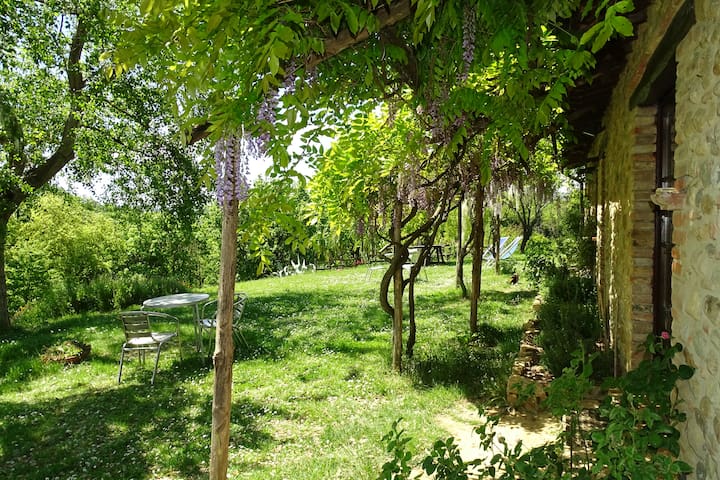 Leccio Apartment - Cimbolello - Apartments for Rent in Città della Pieve, Umbria, Italy